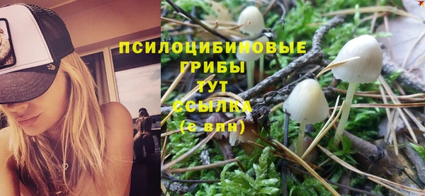 a pvp Иннополис