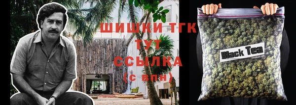 СК Инсар